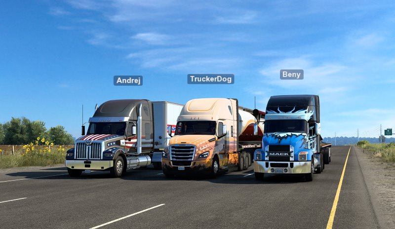 american truck simulator multiplayer